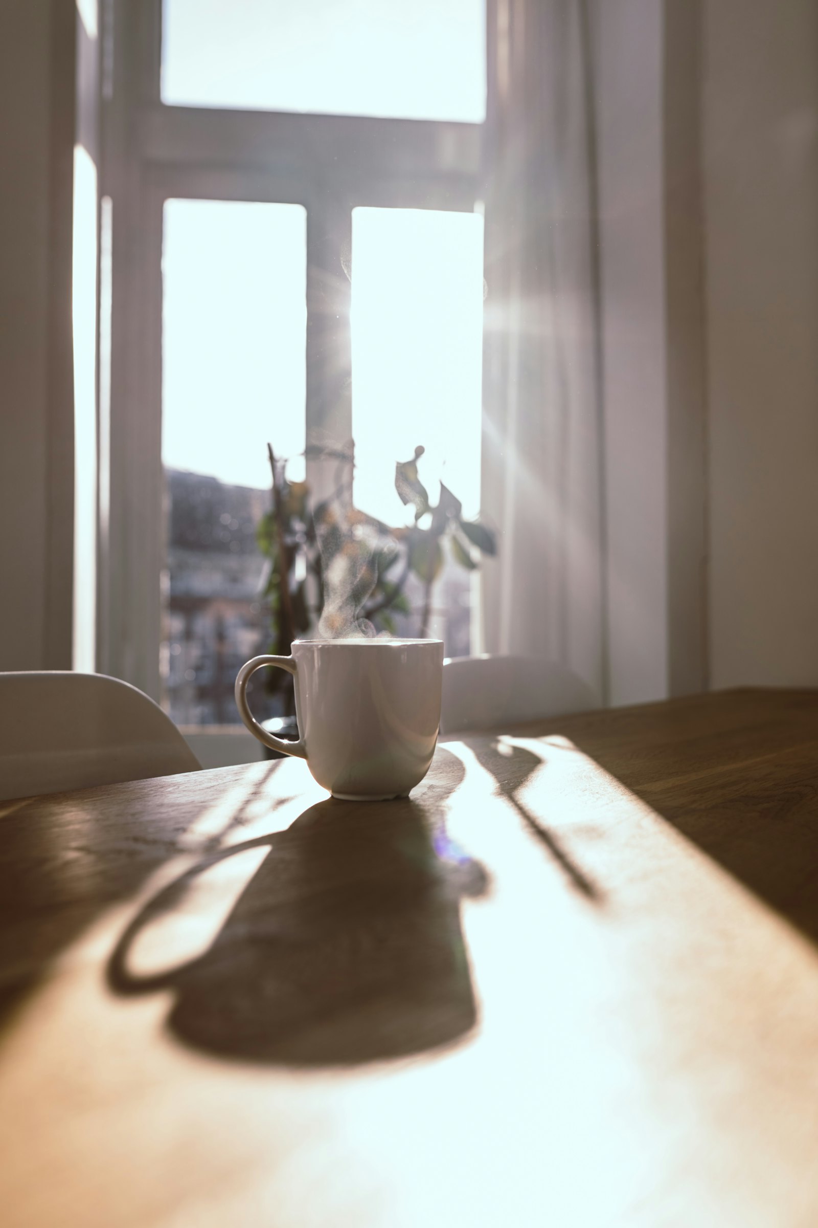 A coffee cup on a table in morning window light